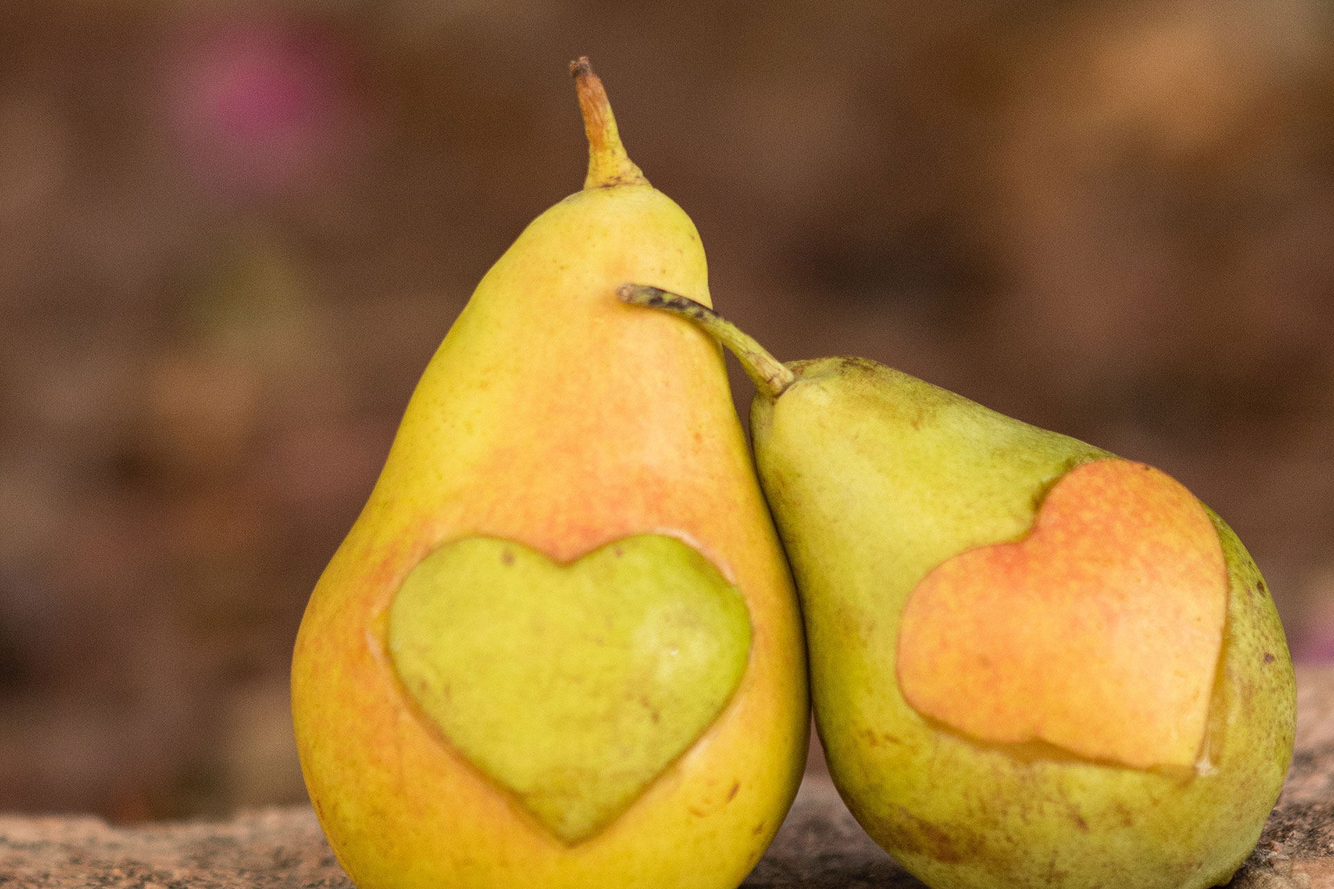 COME AIUTARE UN FAMILIARE O UN AMICO CON UN DISTURBO DELL’ALIMENTAZIONE
